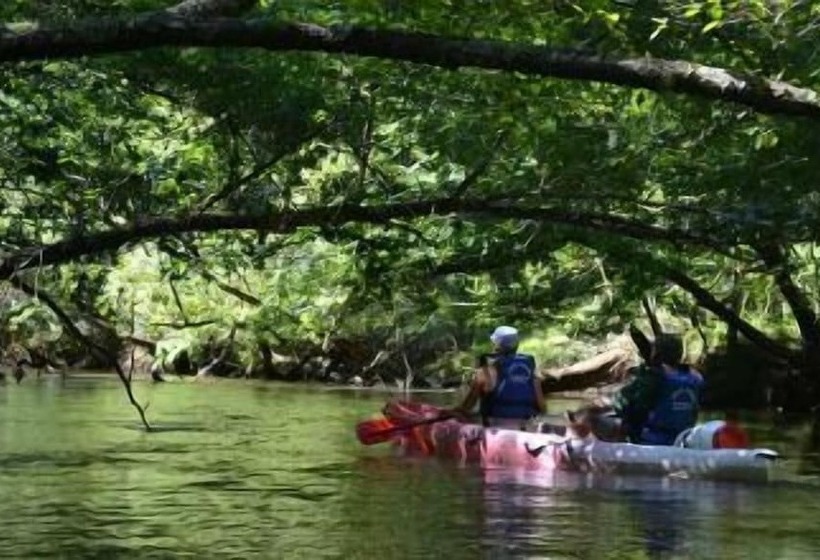 ペンション Chambres à Louer Le Domaine
