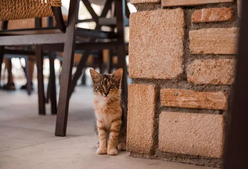 Hotelli Lambis Studios & Apartments