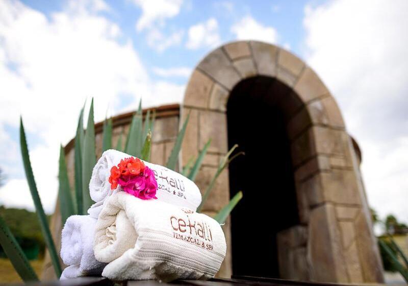 هتل Mision Comanjilla