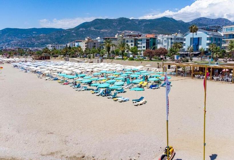 Oba Star Hotel   Ultra All Inclusive