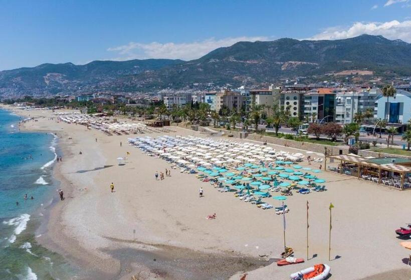 Oba Star Hotel   Ultra All Inclusive