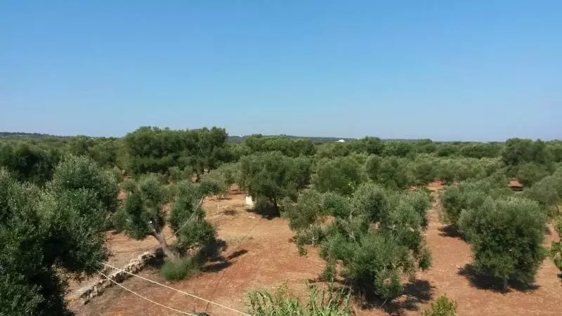 هتل روستایی Agriturismo Masseria Bellolio