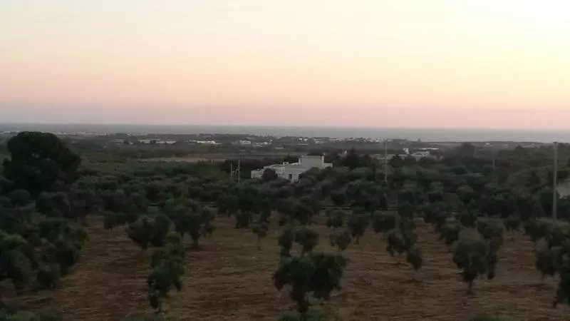 هتل روستایی Agriturismo Masseria Bellolio