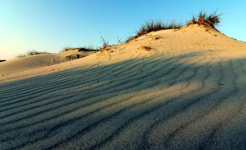 هتل روستایی Agriturismo Masseria Bellolio