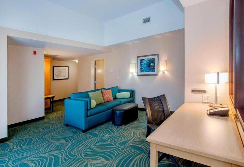 Springhill Suites By Marriott Pueblo Downtown