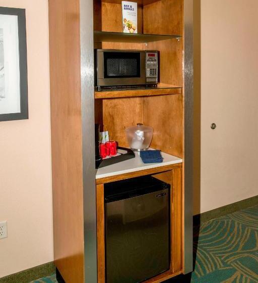 Springhill Suites By Marriott Pueblo Downtown