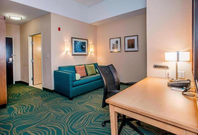 Springhill Suites By Marriott Pueblo Downtown