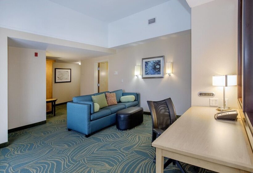 Springhill Suites By Marriott Pueblo Downtown