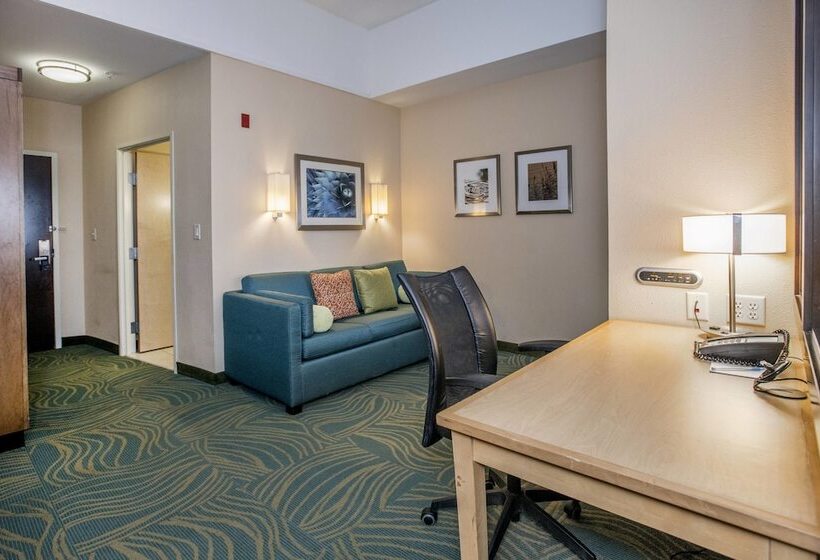 Springhill Suites By Marriott Pueblo Downtown
