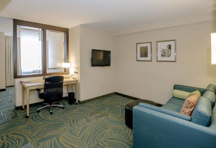 Springhill Suites By Marriott Pueblo Downtown