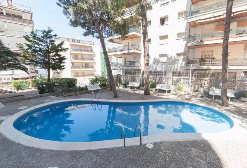 Apartamentos Paradis