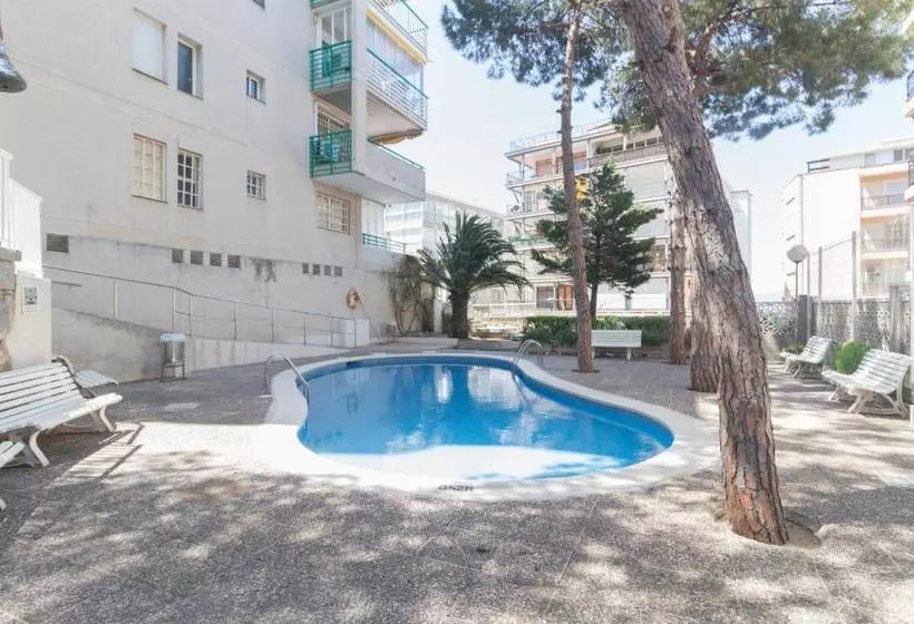 Apartamentos Paradis