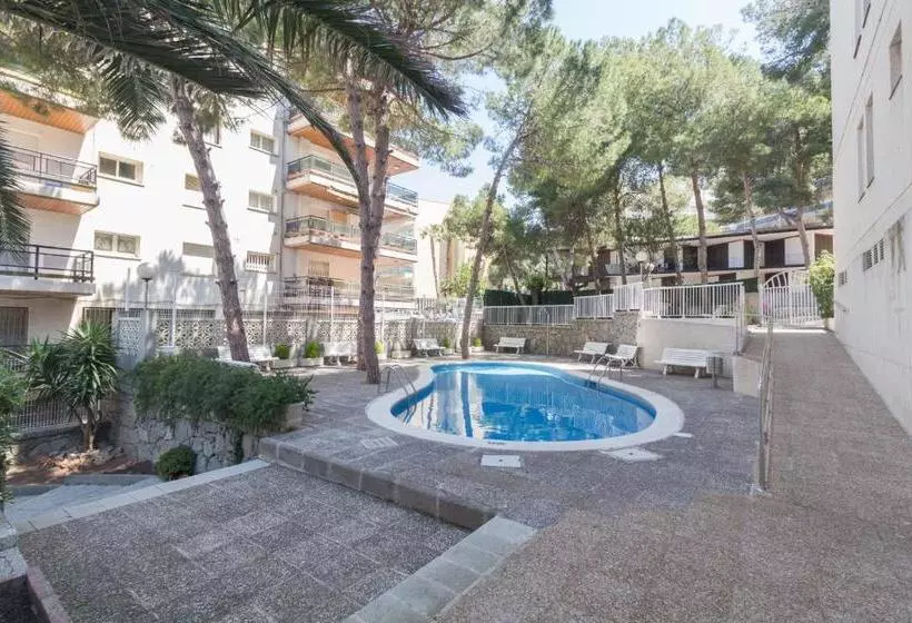 Apartamentos Paradis