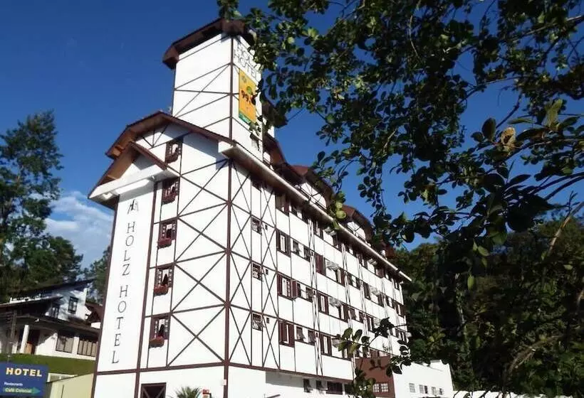 בית מלון כפרי Holz