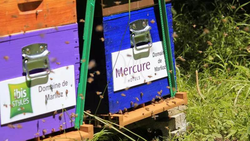 בית מלון כפרי Ibis Styles Aix Les Bains Domaine De Marlioz