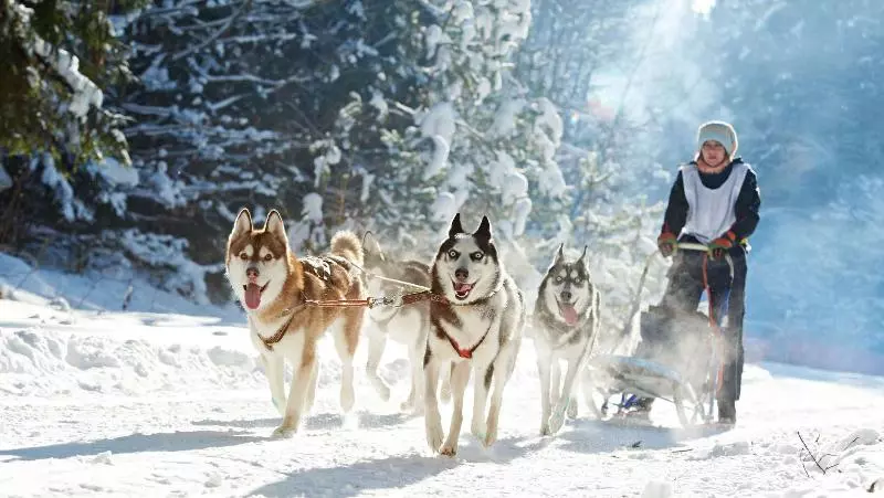 בית מלון כפרי Ibis Styles Aix Les Bains Domaine De Marlioz