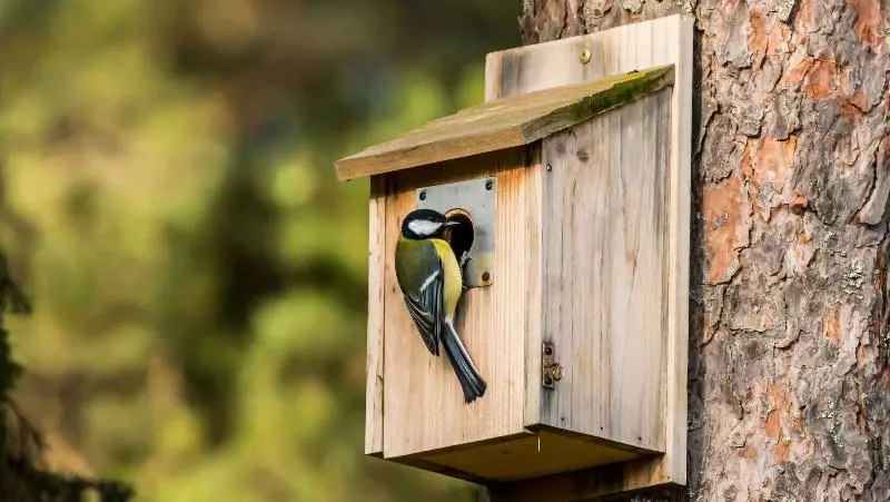 בית מלון כפרי Ibis Styles Aix Les Bains Domaine De Marlioz