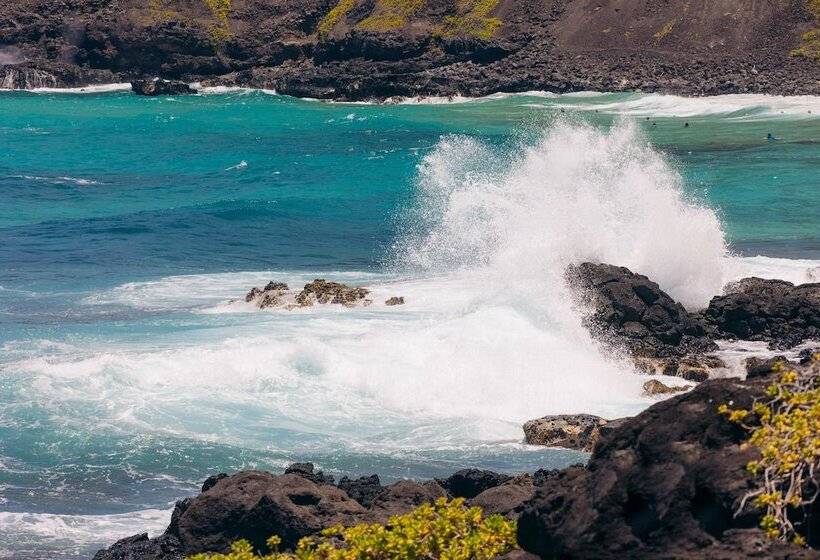 בית מלון כפרי Lotus Honolulu At Diamond Head