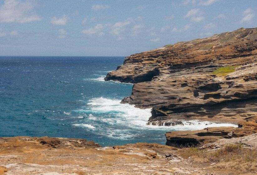בית מלון כפרי Lotus Honolulu At Diamond Head