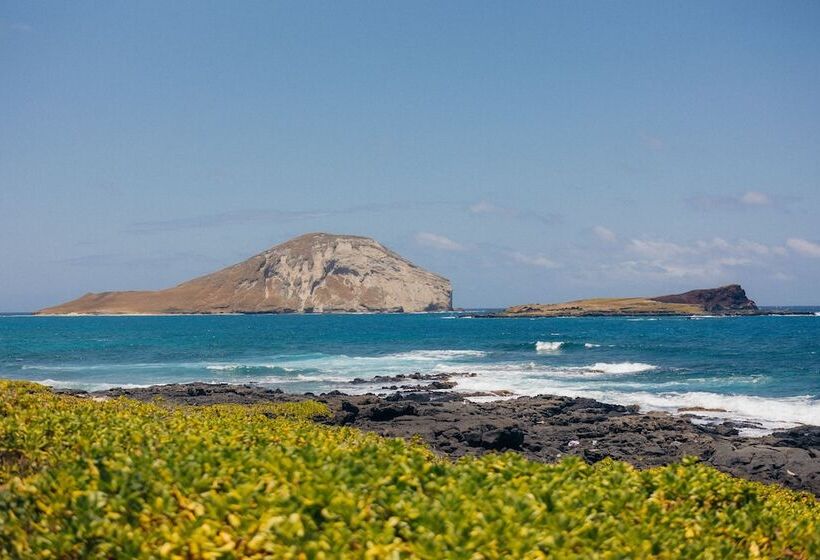 בית מלון כפרי Lotus Honolulu At Diamond Head