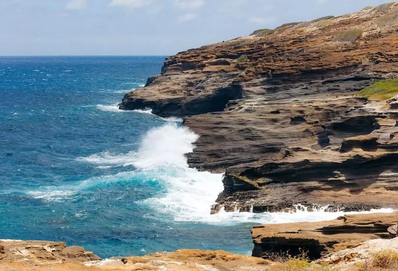 酒店 Lotus Honolulu At Diamond Head