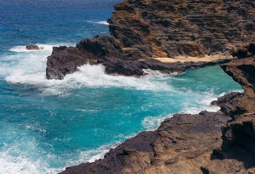 בית מלון כפרי Lotus Honolulu At Diamond Head