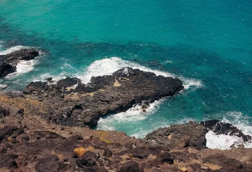 酒店 Lotus Honolulu At Diamond Head