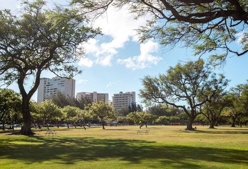 בית מלון כפרי Lotus Honolulu At Diamond Head