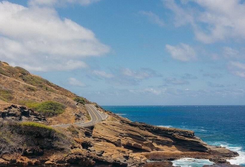 בית מלון כפרי Lotus Honolulu At Diamond Head