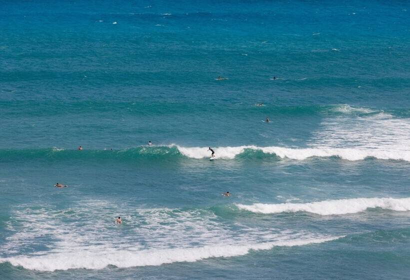 בית מלון כפרי Lotus Honolulu At Diamond Head