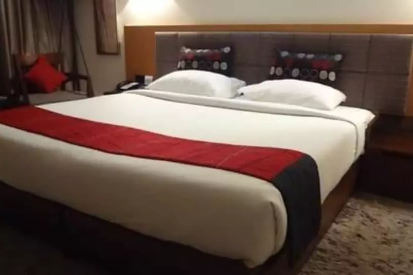 酒店 Suba International Sahar Road Mumbai