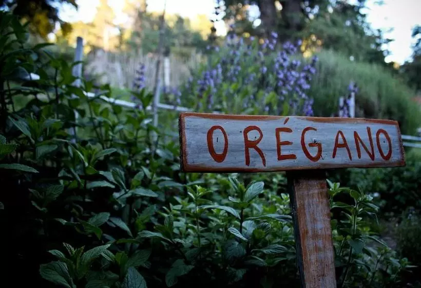 پانسیون Los Juncos Patagonian Lake House