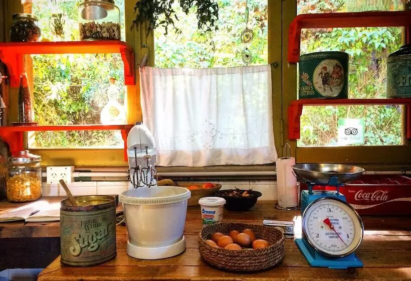 پانسیون Los Juncos Patagonian Lake House