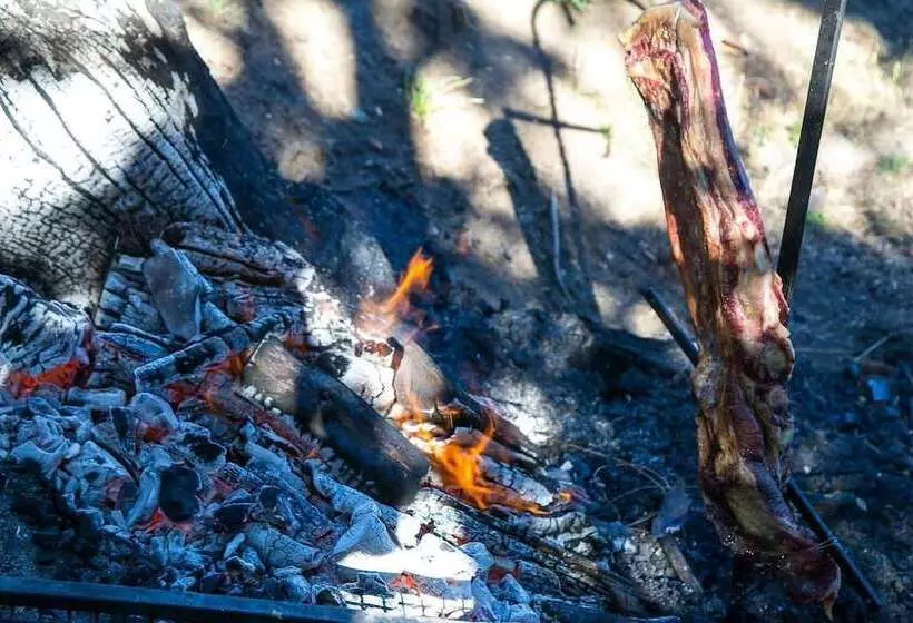 پانسیون Los Juncos Patagonian Lake House