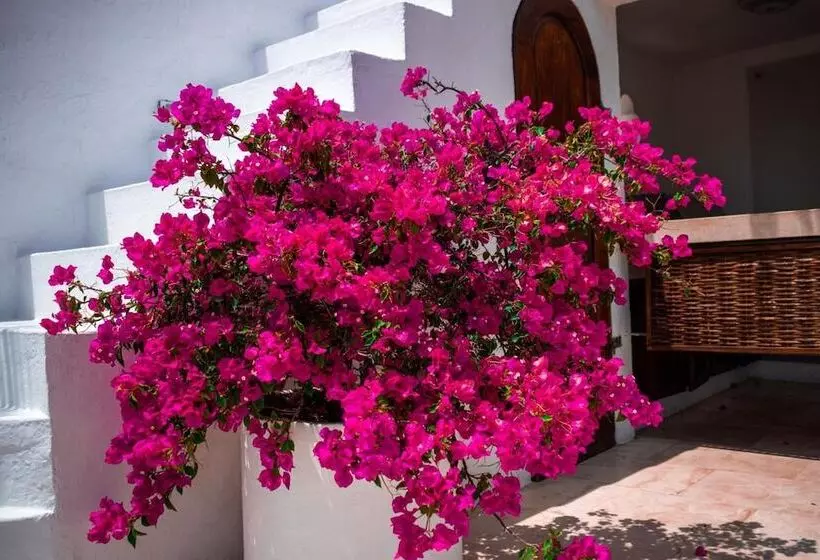 هتل Aguamarina Boutique