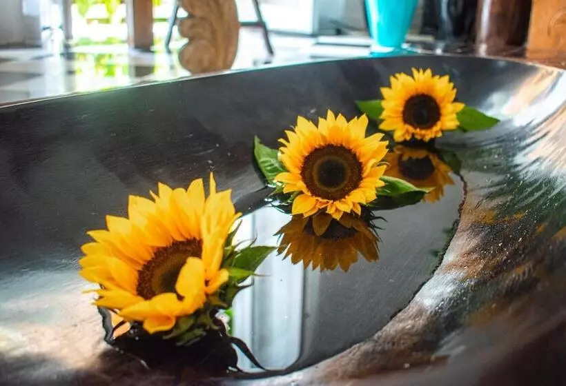 هتل Aguamarina Boutique