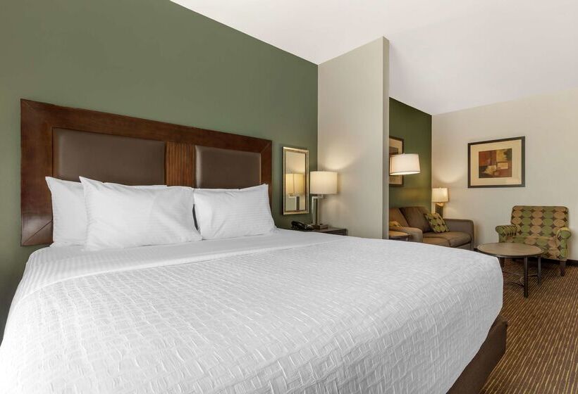 호텔 Best Western Plus Duncanville/dallas