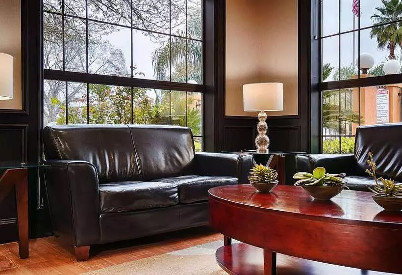 ホテル Best Western Plus Northwest Inn And Suites Houston