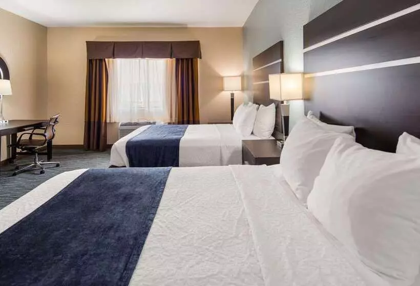 ホテル Best Western Plus Northwest Inn And Suites Houston