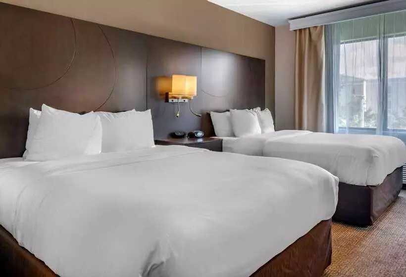 ホテル Comfort Suites Fort Pierce I95