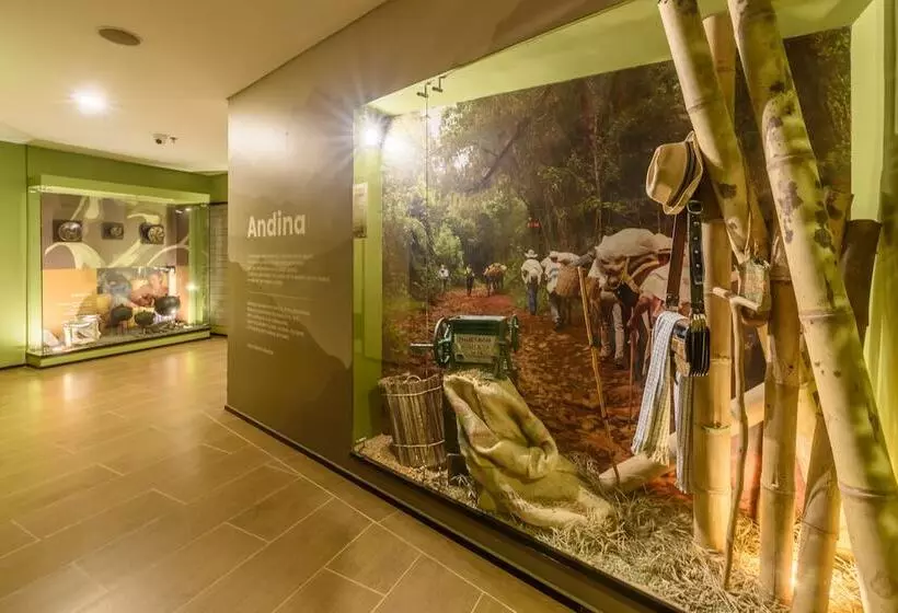 Diez Hotel Categoría Colombia