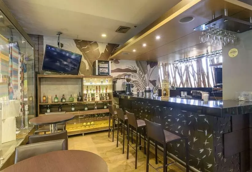 Diez Hotel Categoría Colombia