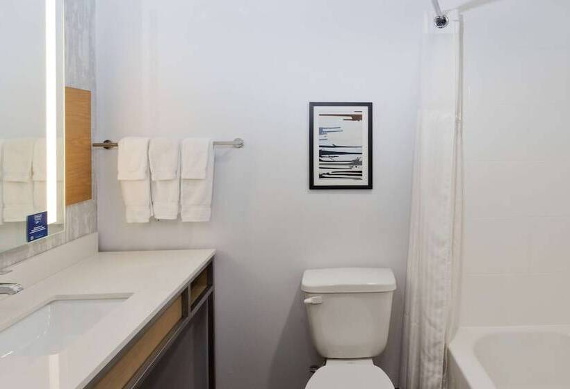 בית מלון כפרי Hilton Garden Inn Birmingham Se/liberty Park