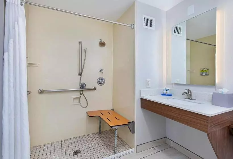 Holiday Inn Express Hotel & Suites Mount Juliet   Nashville Area, An Ihg