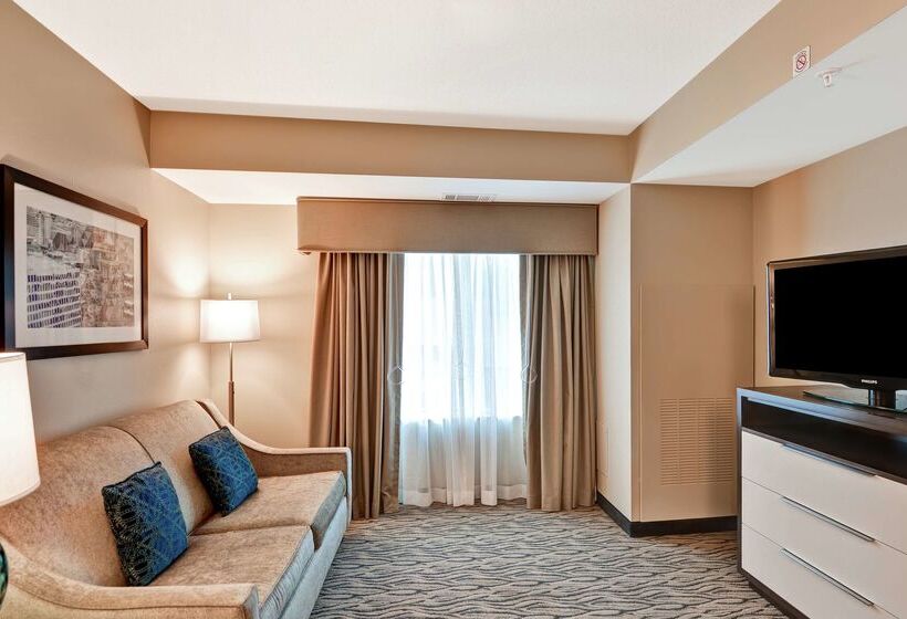 هتل Homewood Suites By Hilton Houston Near The Galleria