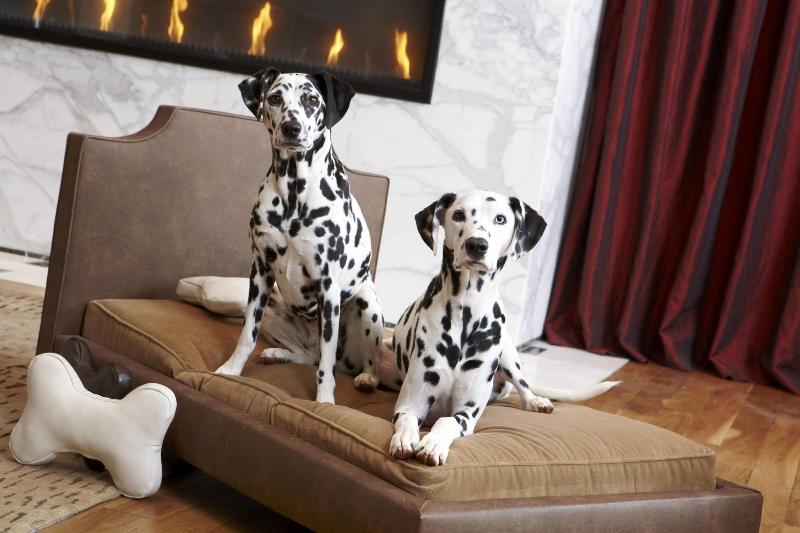 هتل Renaissance Atlanta Midtown