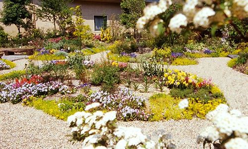 فندق Royal Oak  Spa & Gardens