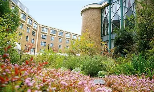 فندق Royal Oak  Spa & Gardens