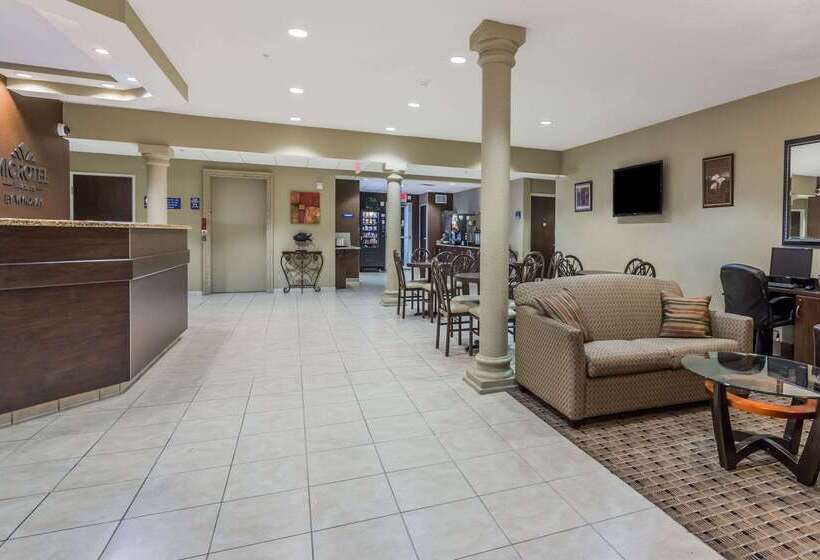 Microtel Inn & Suites By Wyndham Jacksonville Airport