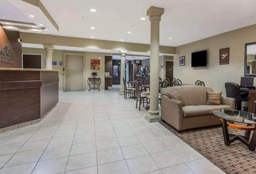 Microtel Inn & Suites By Wyndham Jacksonville Airport
